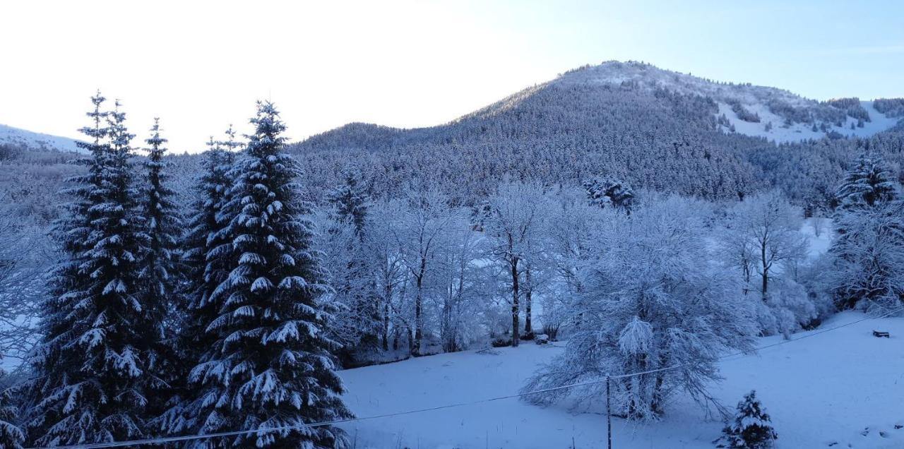 Sci Jsm Appartement Gresse-en-Vercors Buitenkant foto